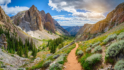 Paintbrush Canyon Trail